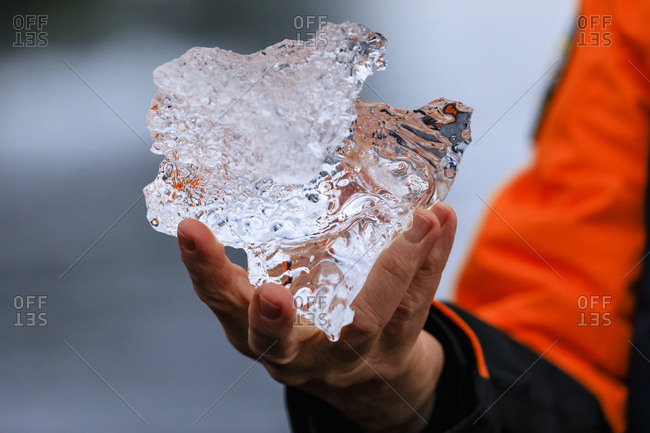 Detail of an expedition passenger holding a piece of glacier ice, Anvers Island, Antarctic Peninsula, Antarctica, Polar Regions