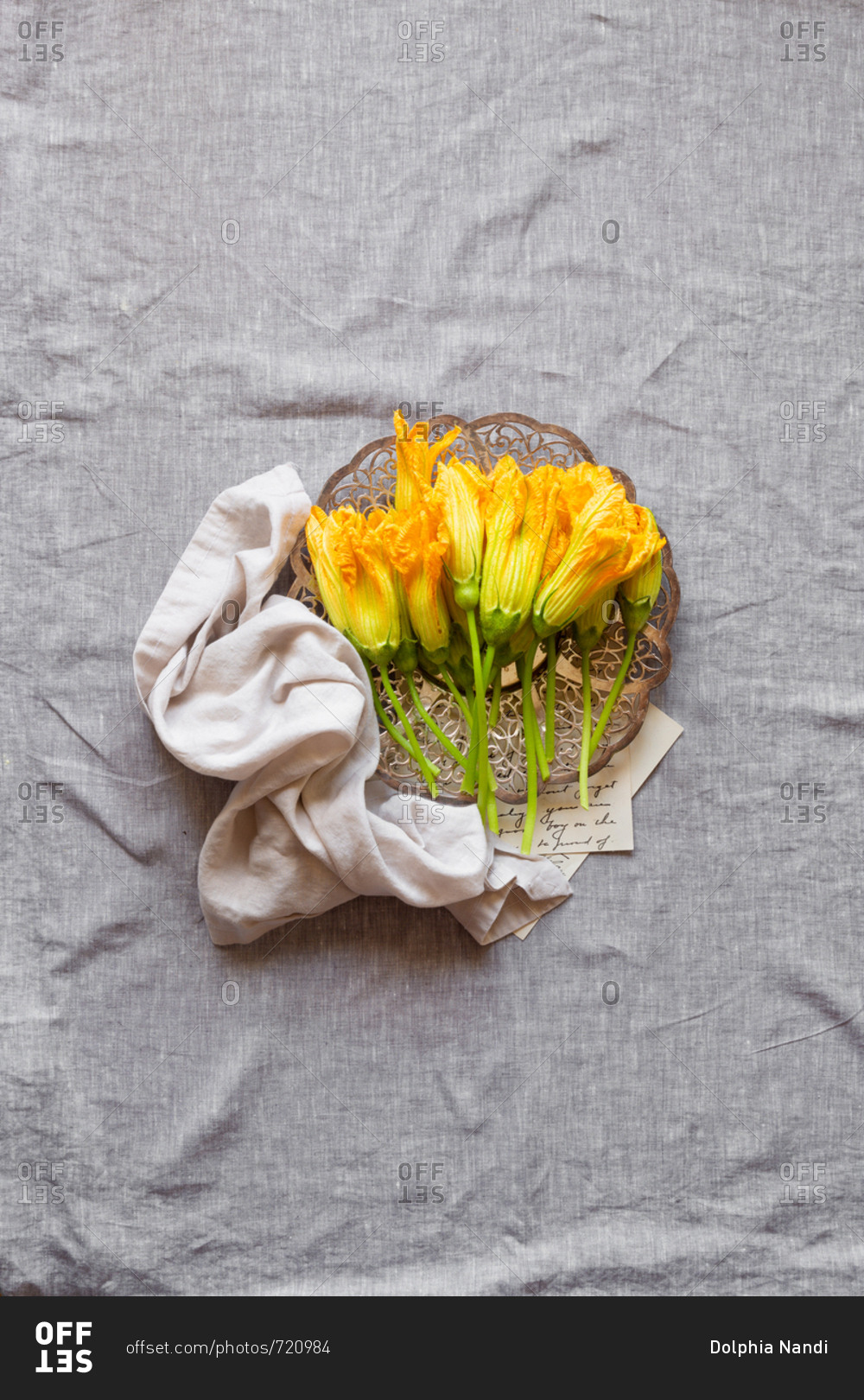 Freshly picked squash blossoms on linen background