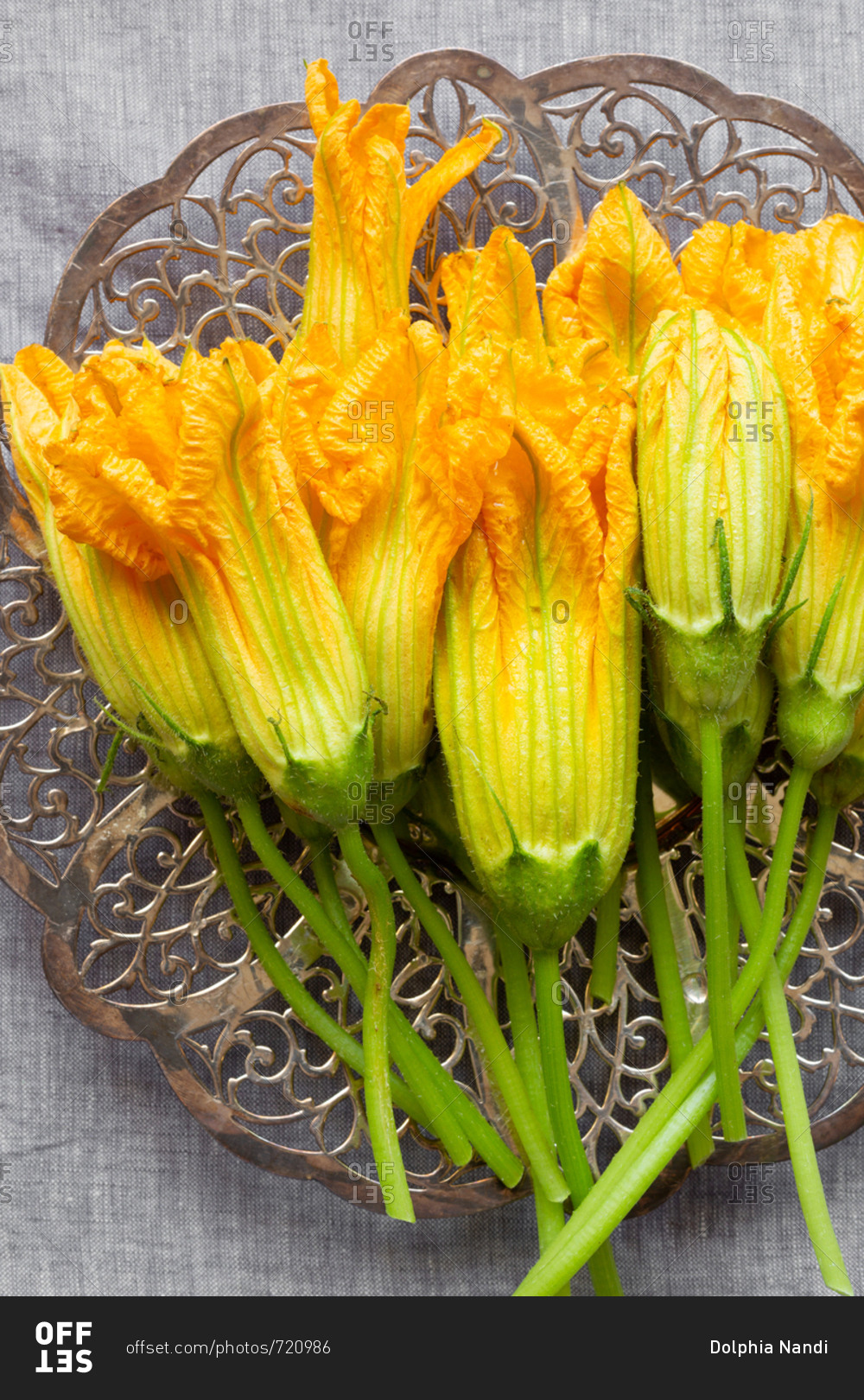 Close-up of freshly picked squash blossoms on linen background