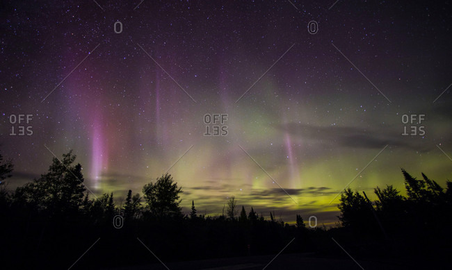 View of aurora borealis in sky at night above silhouettes of tree