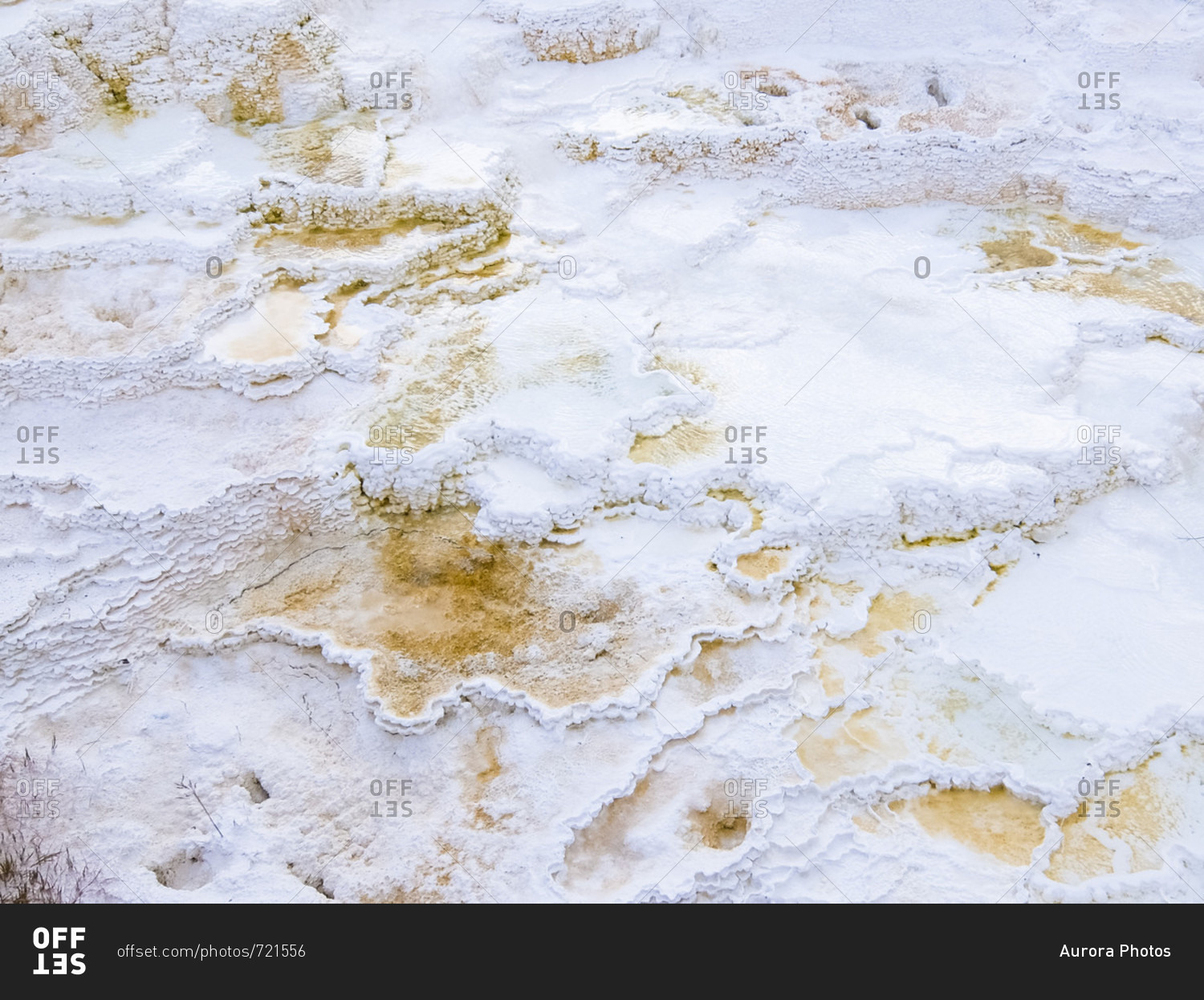 Detail of Mammoth Hot Springs, Yellowstone National Park, Wyoming, USA