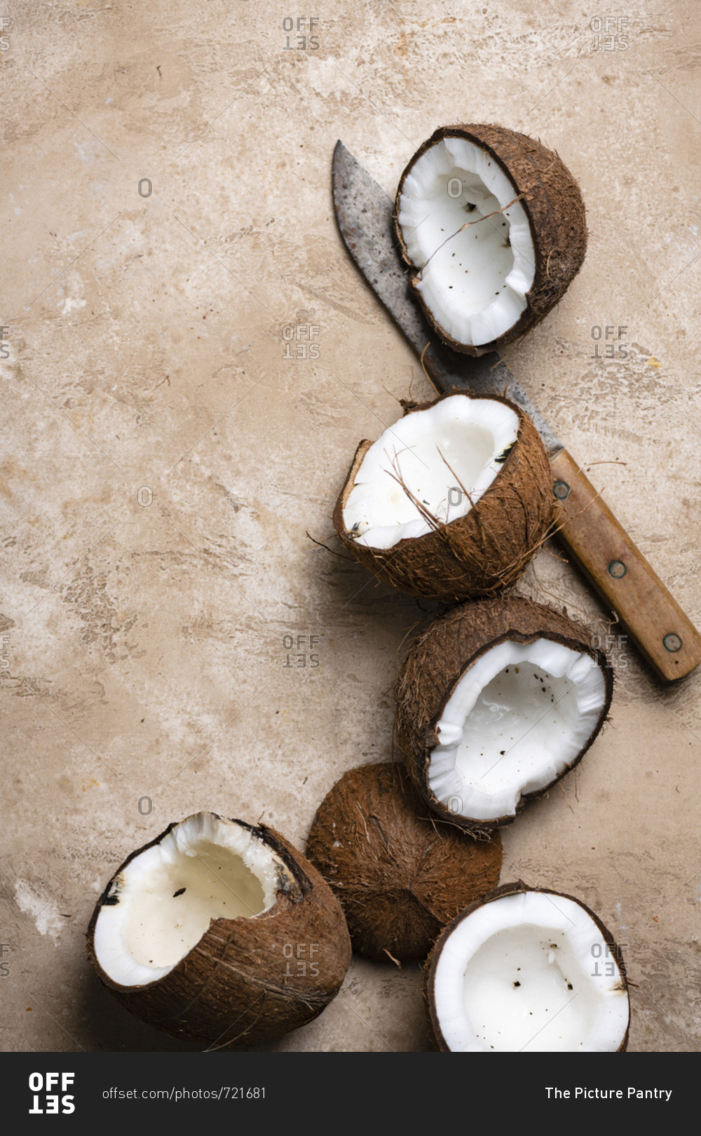 Sliced Fresh Coconut - Offset Collection stock photo - OFFSET