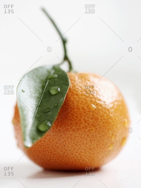 A clementine with a stem and a leaf
