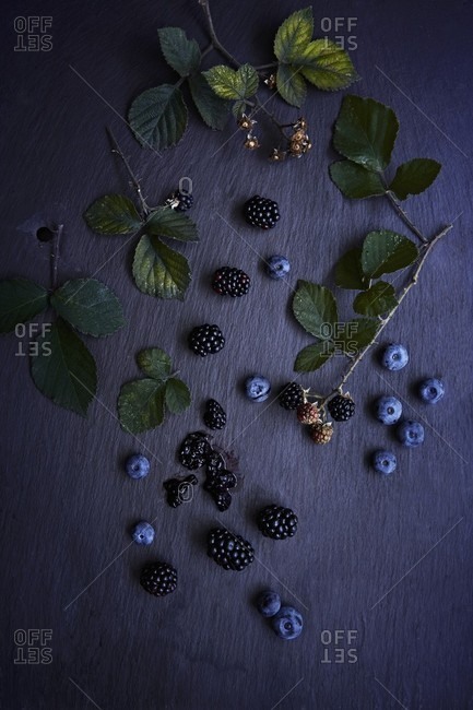 Blueberries and blackberries with bramble stems