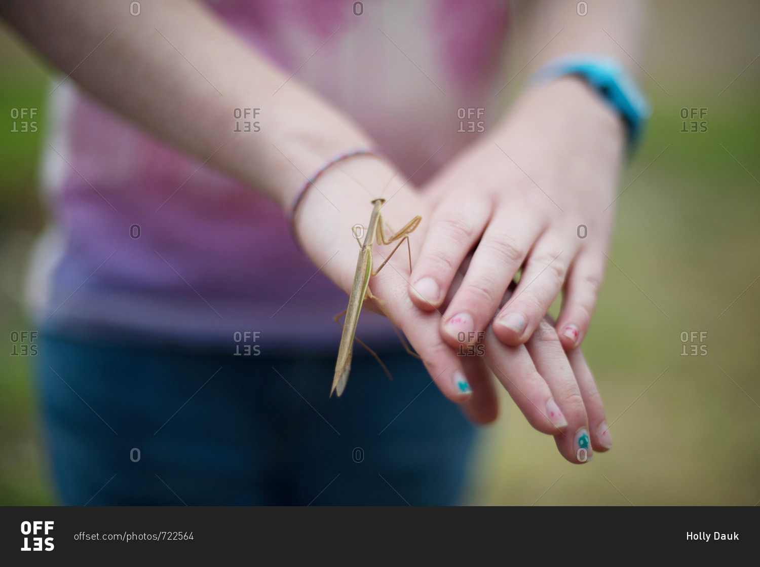 Girl holding stick insect on her hand