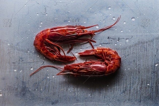 Two red prawns on a grey surface