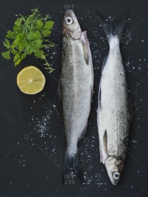 Two fresh fish with coarse salt, herbs and lemons on a dark surface