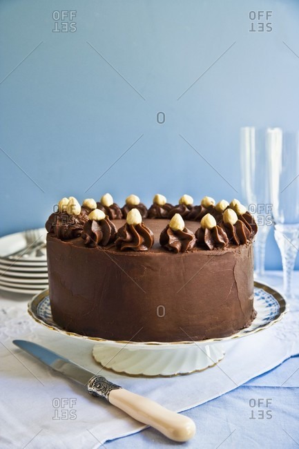 A chocolate and hazelnut cream cake on a cake stand