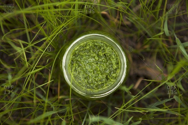 Homemade green smoothie in a jar in a field (seen from above)