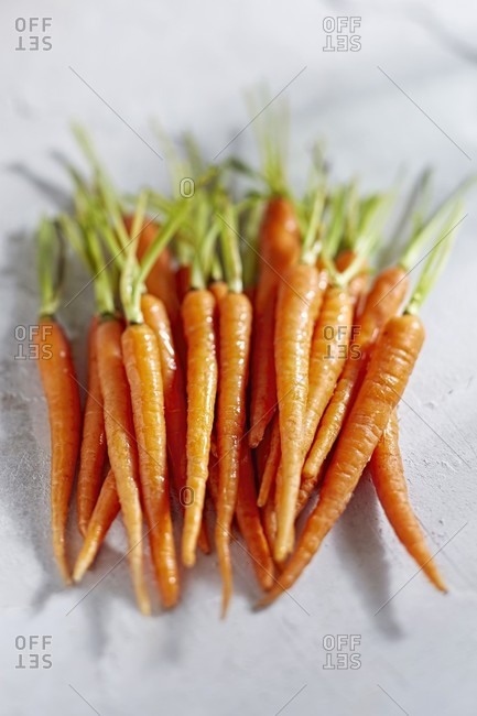 Young carrots (seen from above)