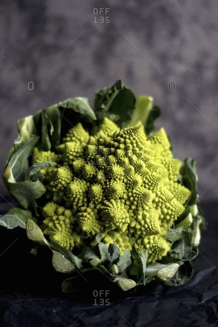 Romanesco broccoli on a dark surface