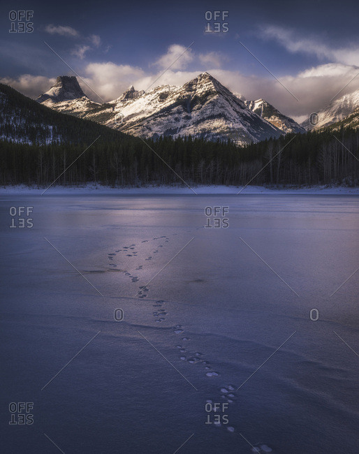 Winter landscape of the Canadian Rockies at Wedge Pond, tracks of wildlife on frozen lake, Kananaskis, Alberta, Canada, North America