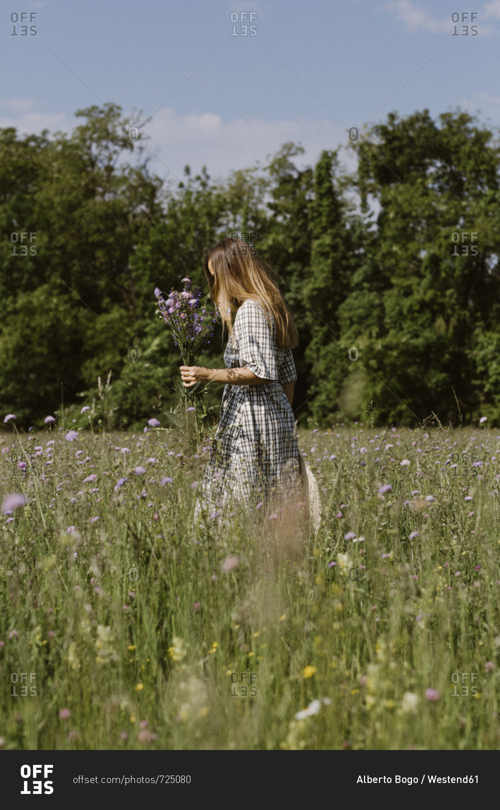Italy, Veneto, Young woman plucking flowers and herbs in field