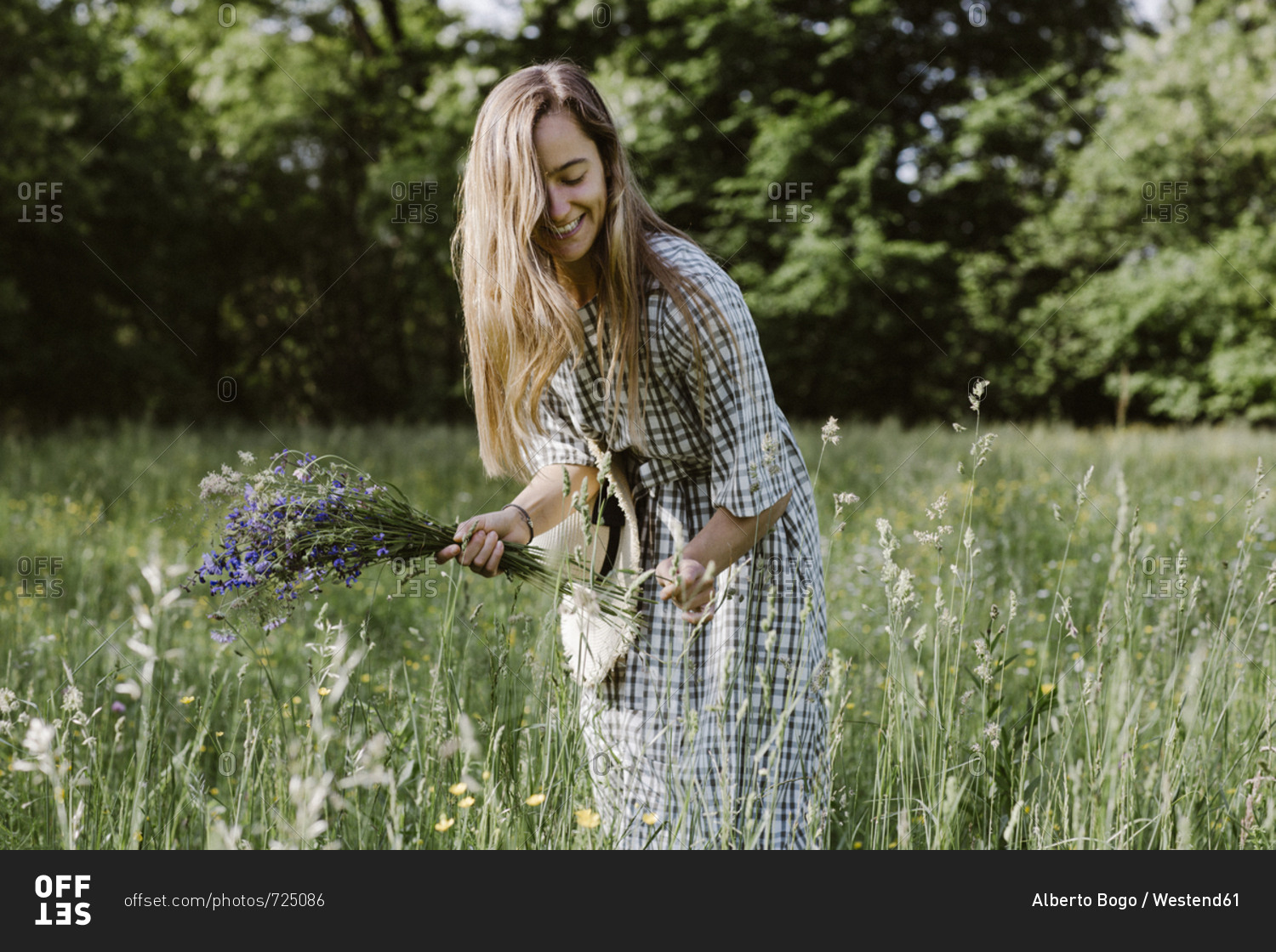 Italy, Veneto, Young woman plucking flowers and herbs in field