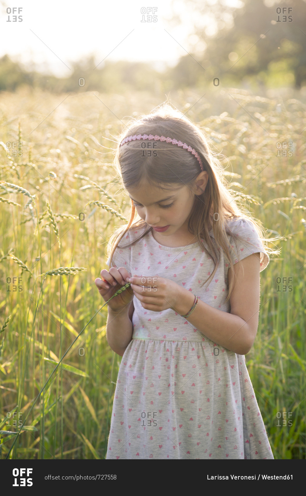 Young girl standing in field at summer evening