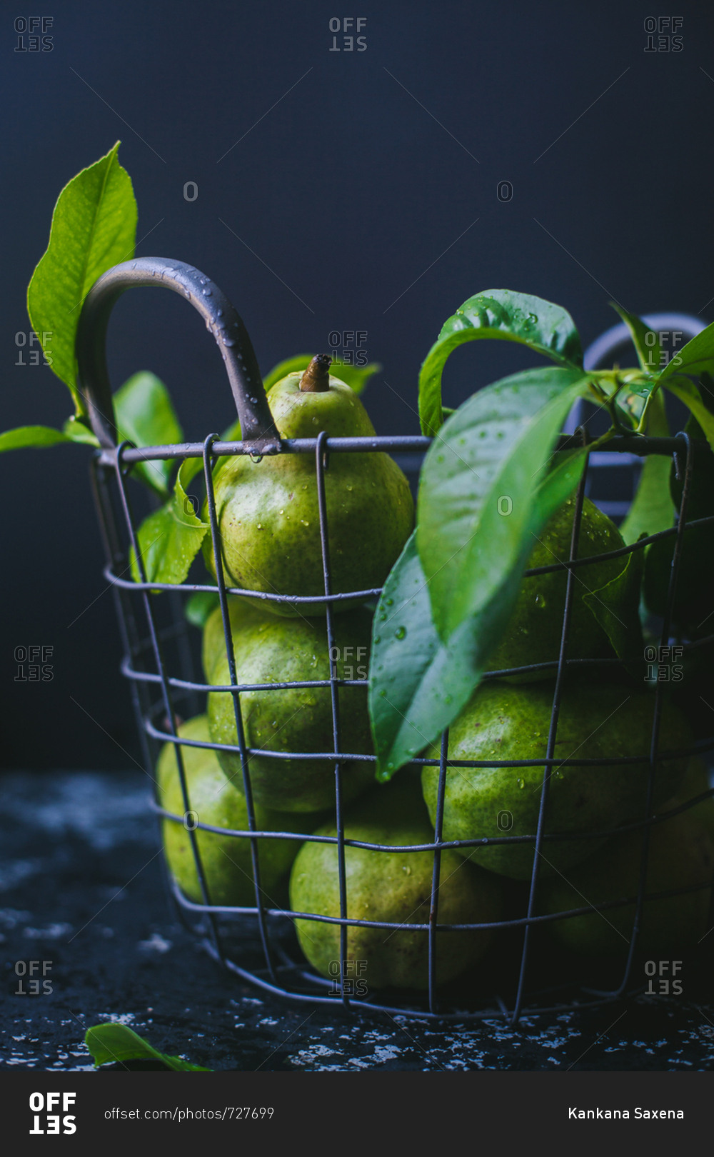 Fresh picked green pears in a wire basket