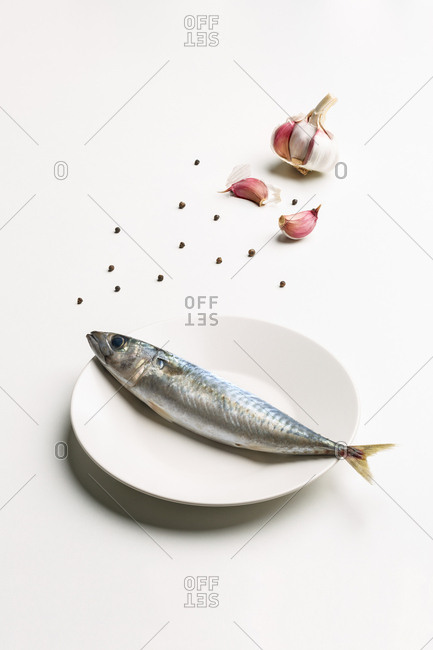 Mackerel on white plate, garlic and pepper. Minimalist composition