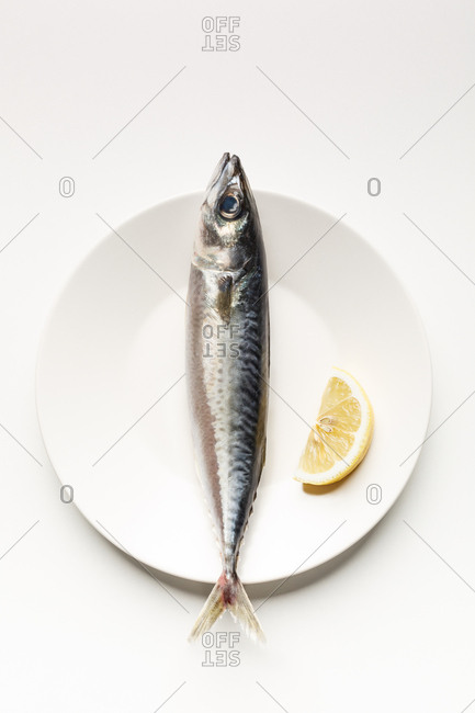 Mackerel and lemon slice on white plate, minimalist composition