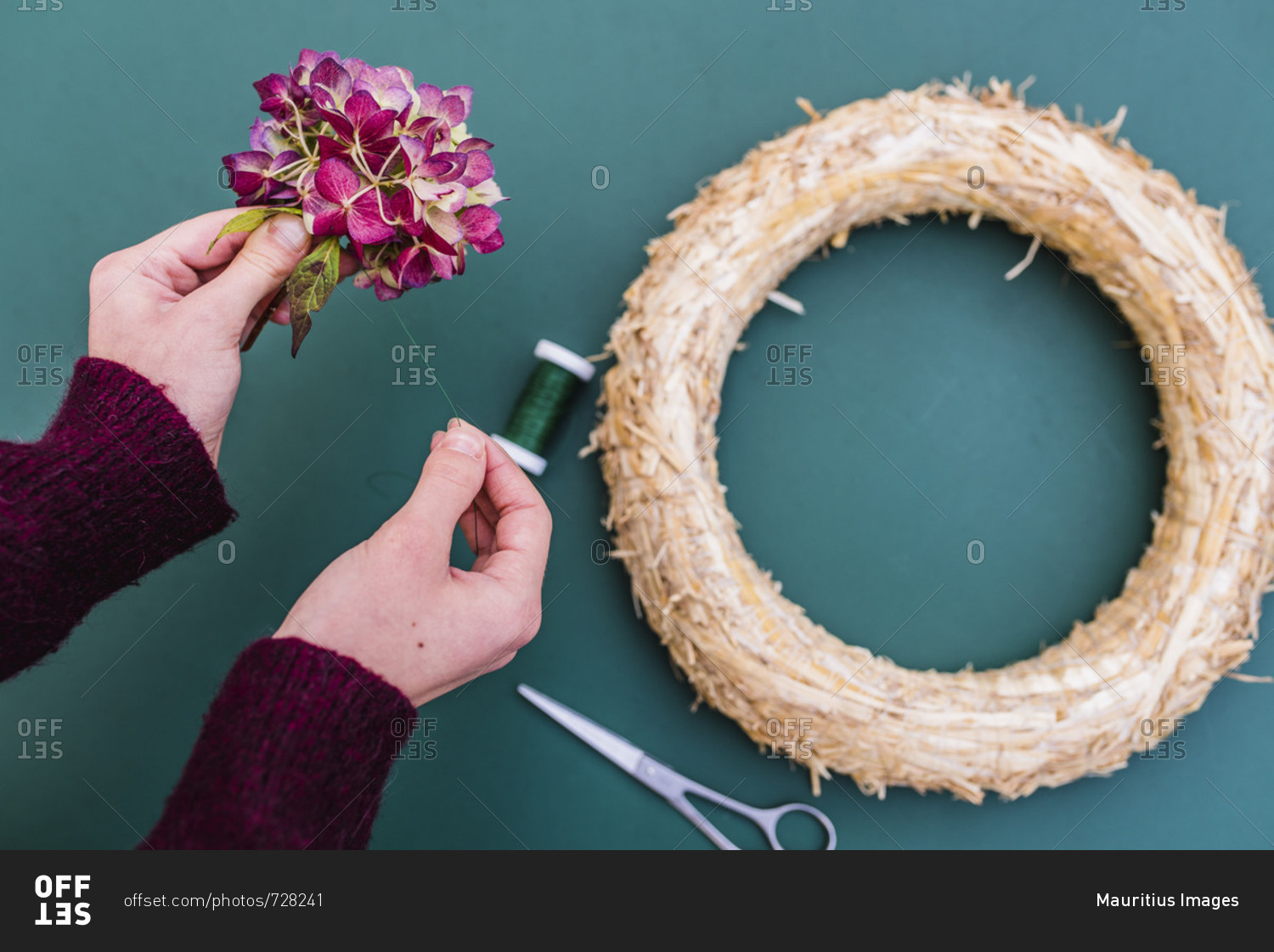 Woman, detail, hands, autumn, wreath with hydrangea blossoms, DIY,