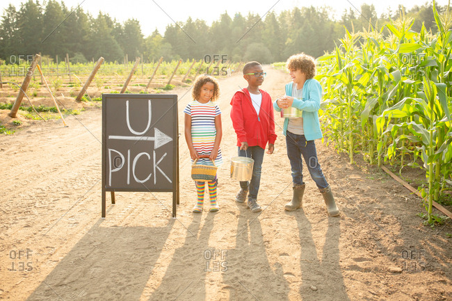 Three siblings standing by sign on a U-pick farm