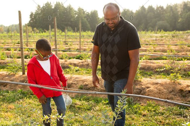 Father and son on a U-pick farm