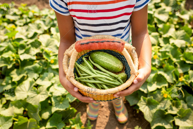 Young girl holding basket with cucumbers and green beans