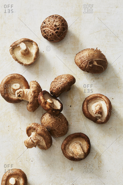 Shiitake mushrooms on counter