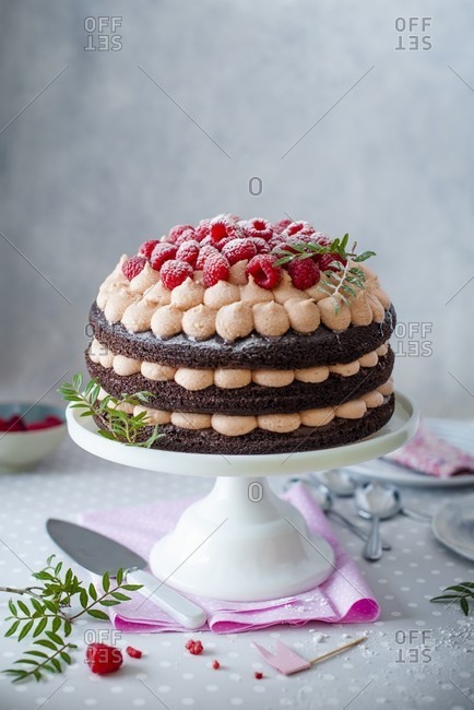 Chocolate cake with raspberry cream cheese and fresh raspberries on a cake stand