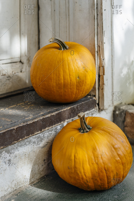 Autumn pumpkins decoration for thanksgiving and halloween holiday season