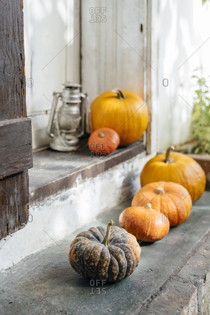 Autumn pumpkins decoration for thanksgiving and halloween holiday season