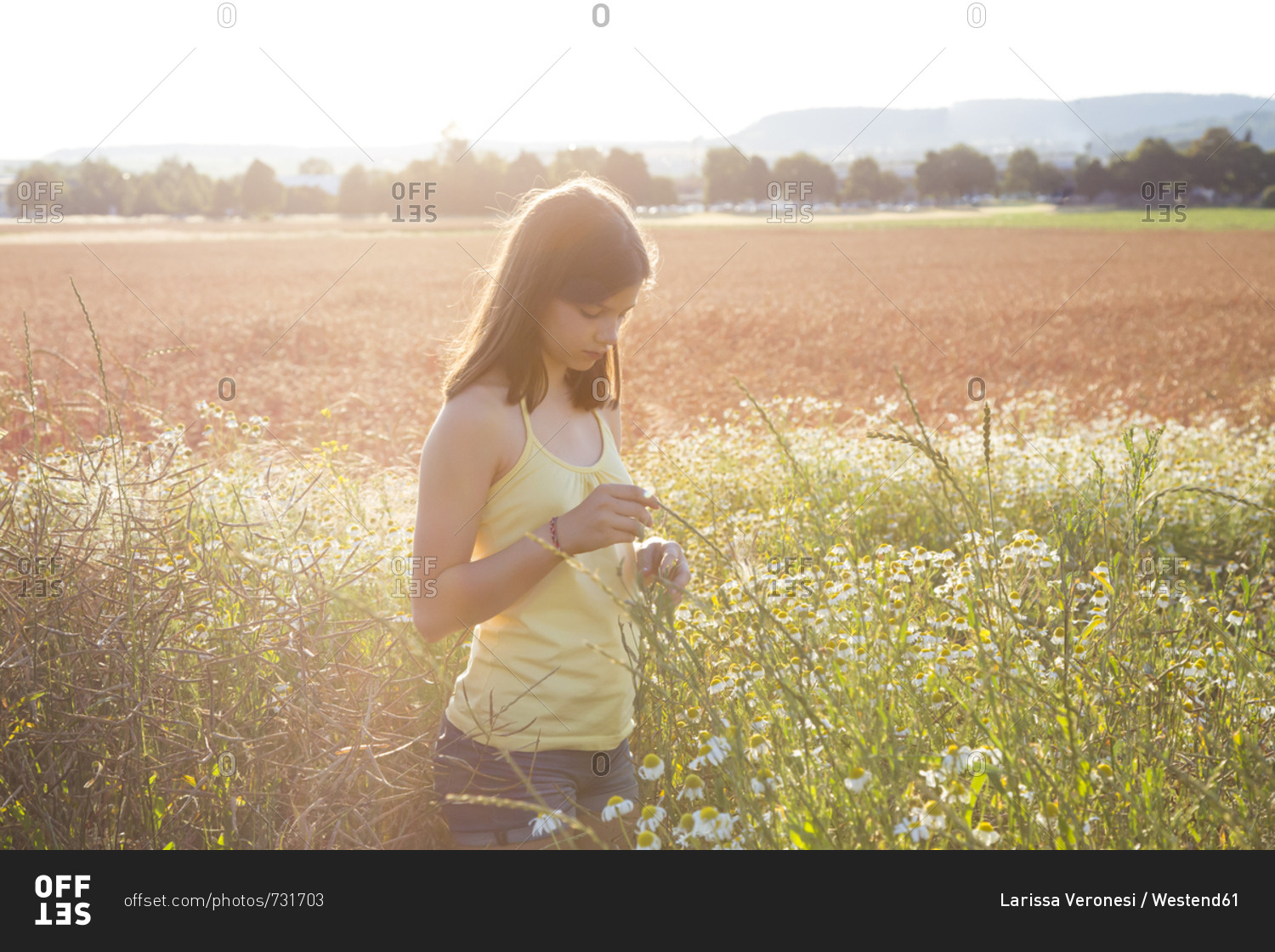 Young girl standing on meadow at summer evening