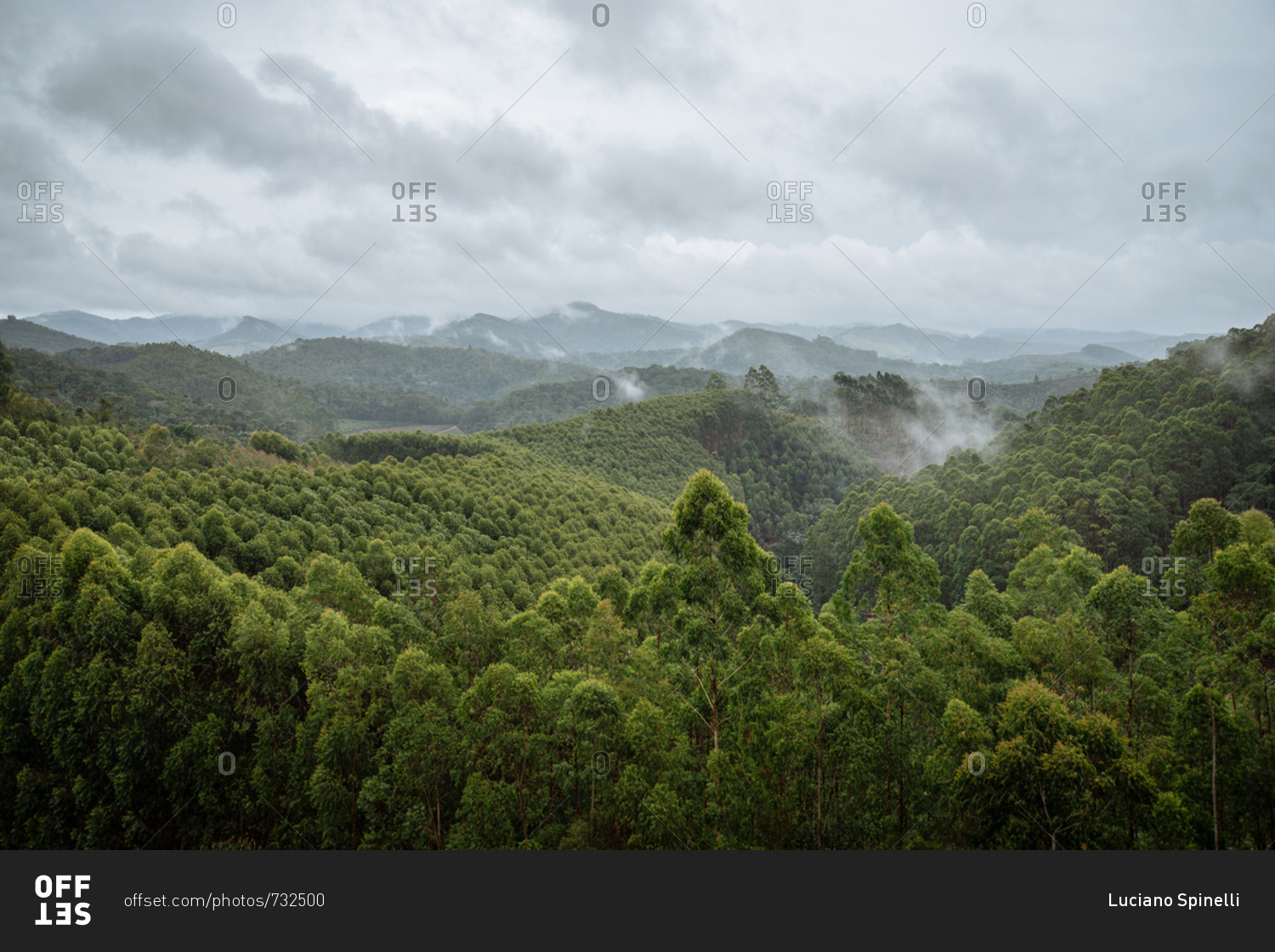 Scenic view of trees and clouds in the subtropical rainforest surrounding Domingos Martins