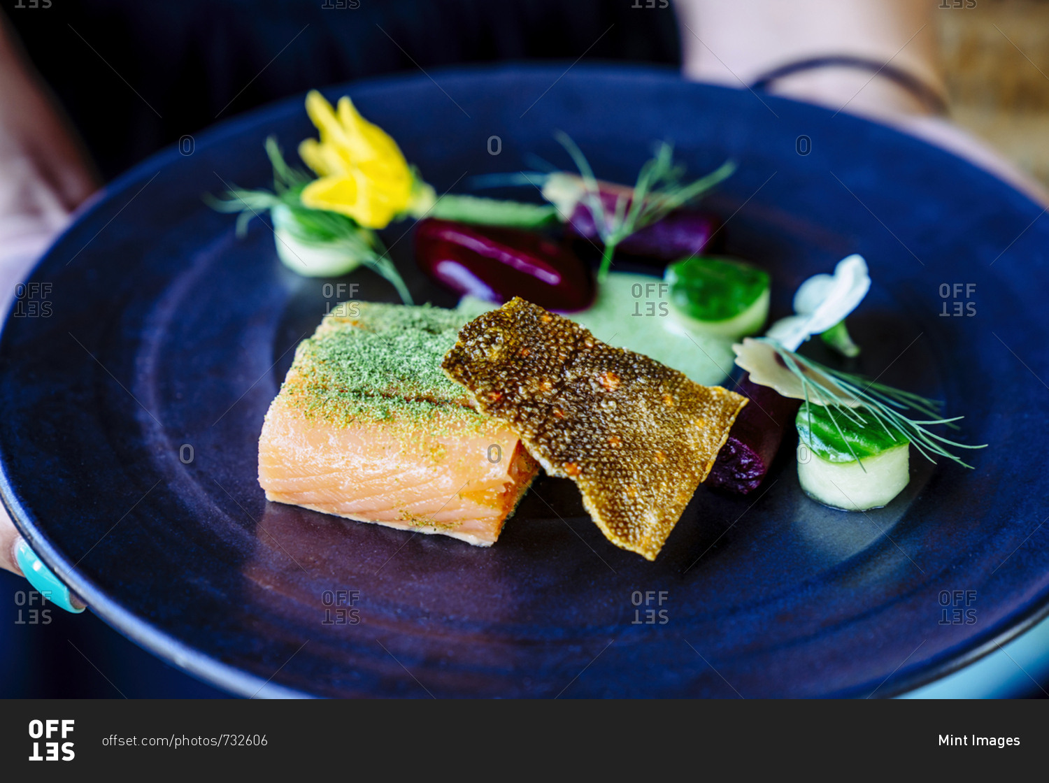 Salmon with smoked beets, cucumber, dill and zucchini blossom