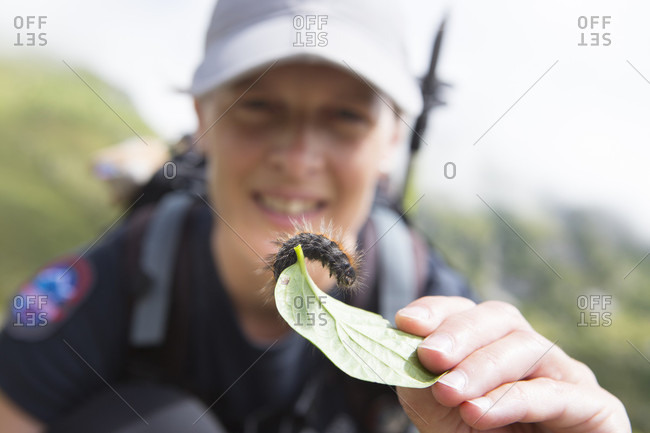 September 5, 2016: Ranger of Triglav National Park showing caterpillar, Triglav, Slovenia
