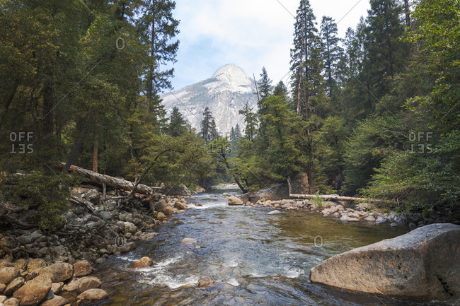 View of river in forest in Yosemite National Park, California, USA