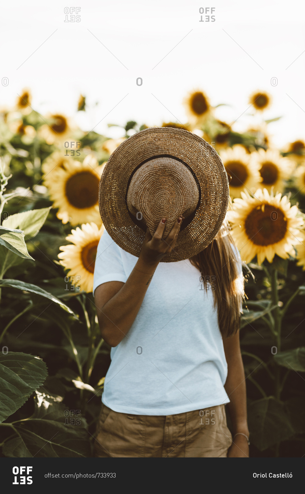 Girl Putting On A Straw Hat In A Sunflower Field Photograph by