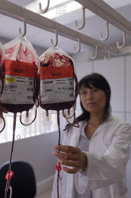 Laboratory technician analyzing blood bags in blood bank