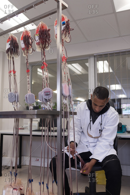 Laboratory technician analyzing blood bag in blood bank