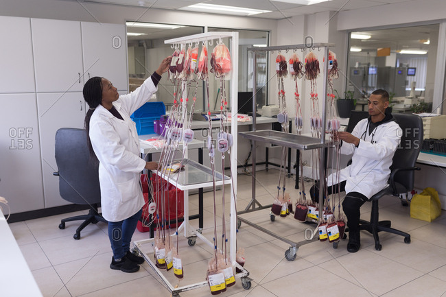 Laboratory technicians analyzing blood bags in blood bank