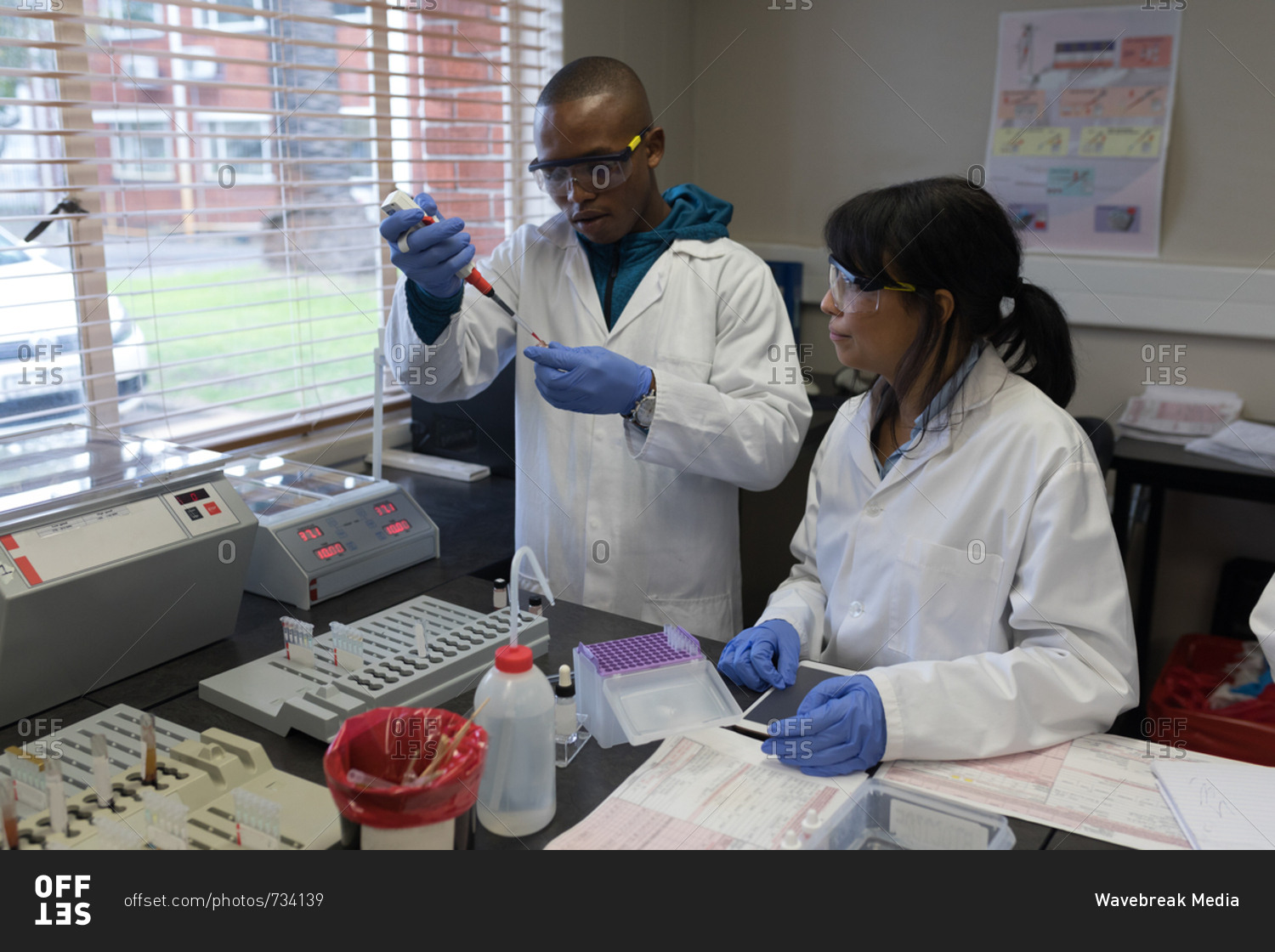 Laboratory technicians analyzing blood sample in blood bank stock photo
