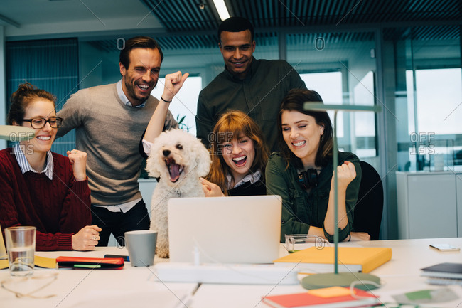 Excited Business Team With Dog At Desk In Creative Office Stock