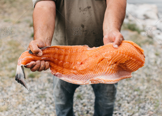 Dirty hands in fish oil holding large cut-off plate of cut red fish meal