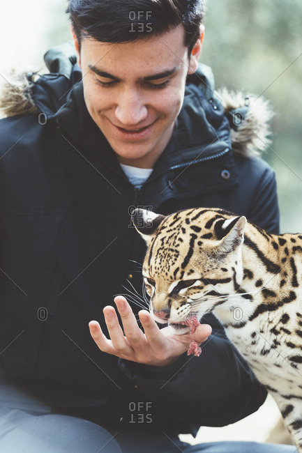 Man feeding leopard in zoo