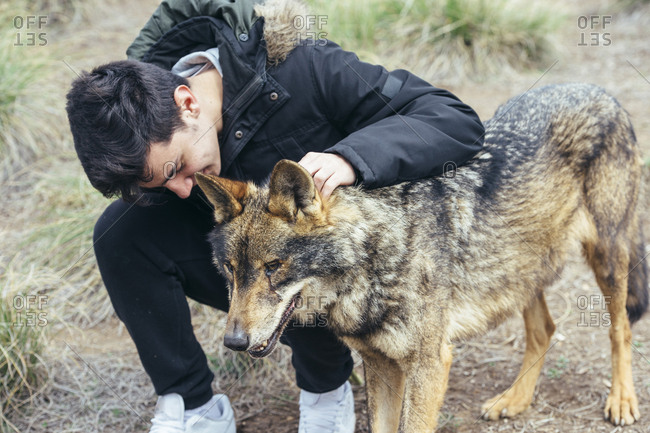 Young handsome man stroking wolf
