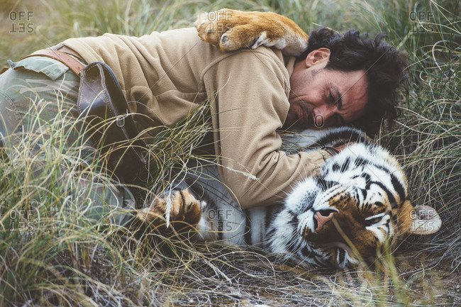 Side view of man lying with tiger and stroking it in green grass.