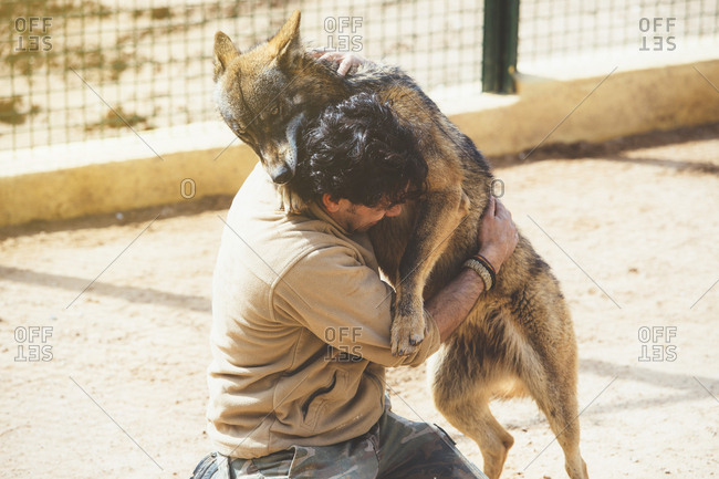 Man with wolf in zoo