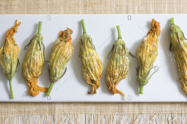 Stuffed squash blossoms arranged in a row on a plate