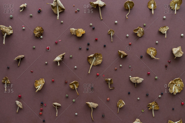 Arrangement of mushrooms and peppercorns