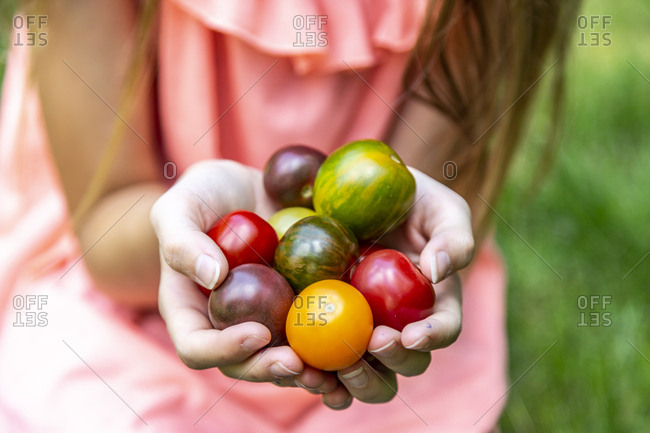 Girl holding colorful tomatoes in hand
