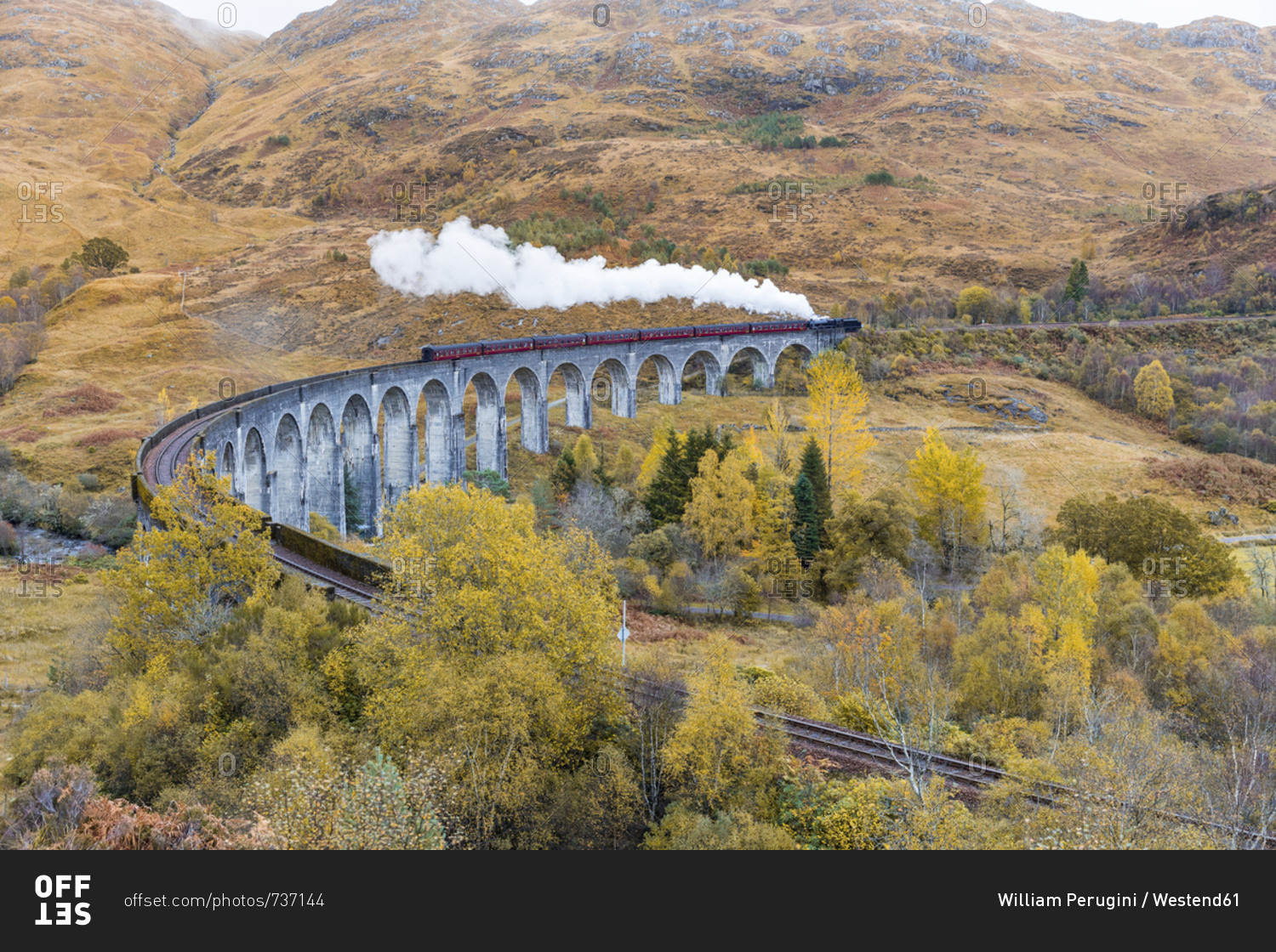 UK- Scotland- Highlands- Glenfinnan viaduct with a steam train passing over it